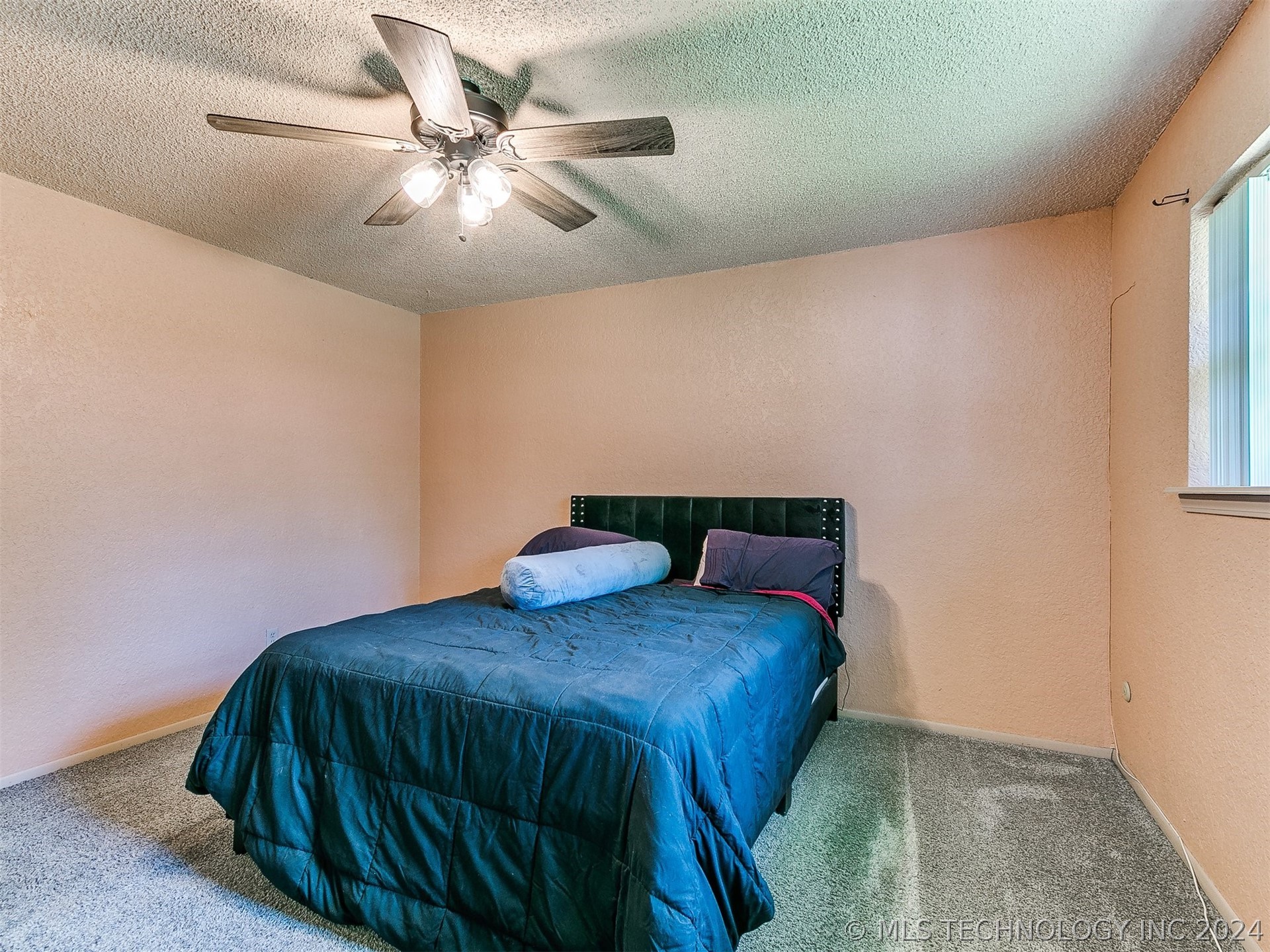 917 Pecan Lane