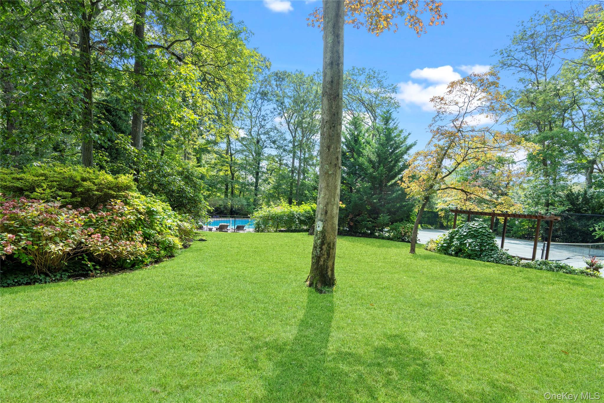25 Surry Hill Place