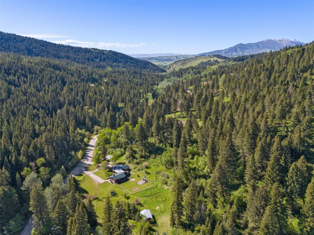 3462 Bear Canyon Road