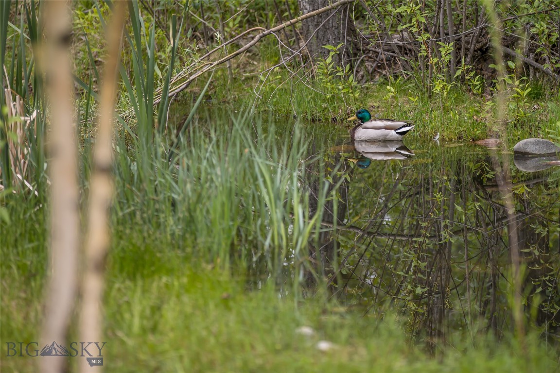 5933 Monforton School Road