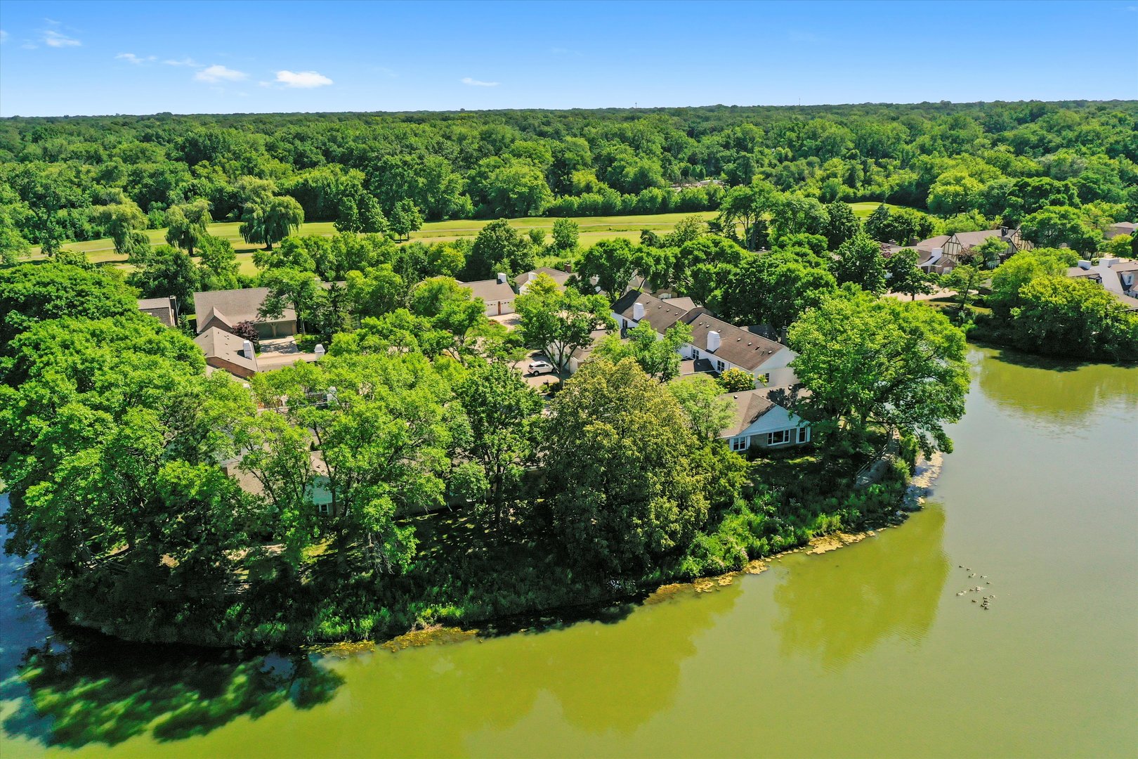 117 RIVERSHIRE Lane