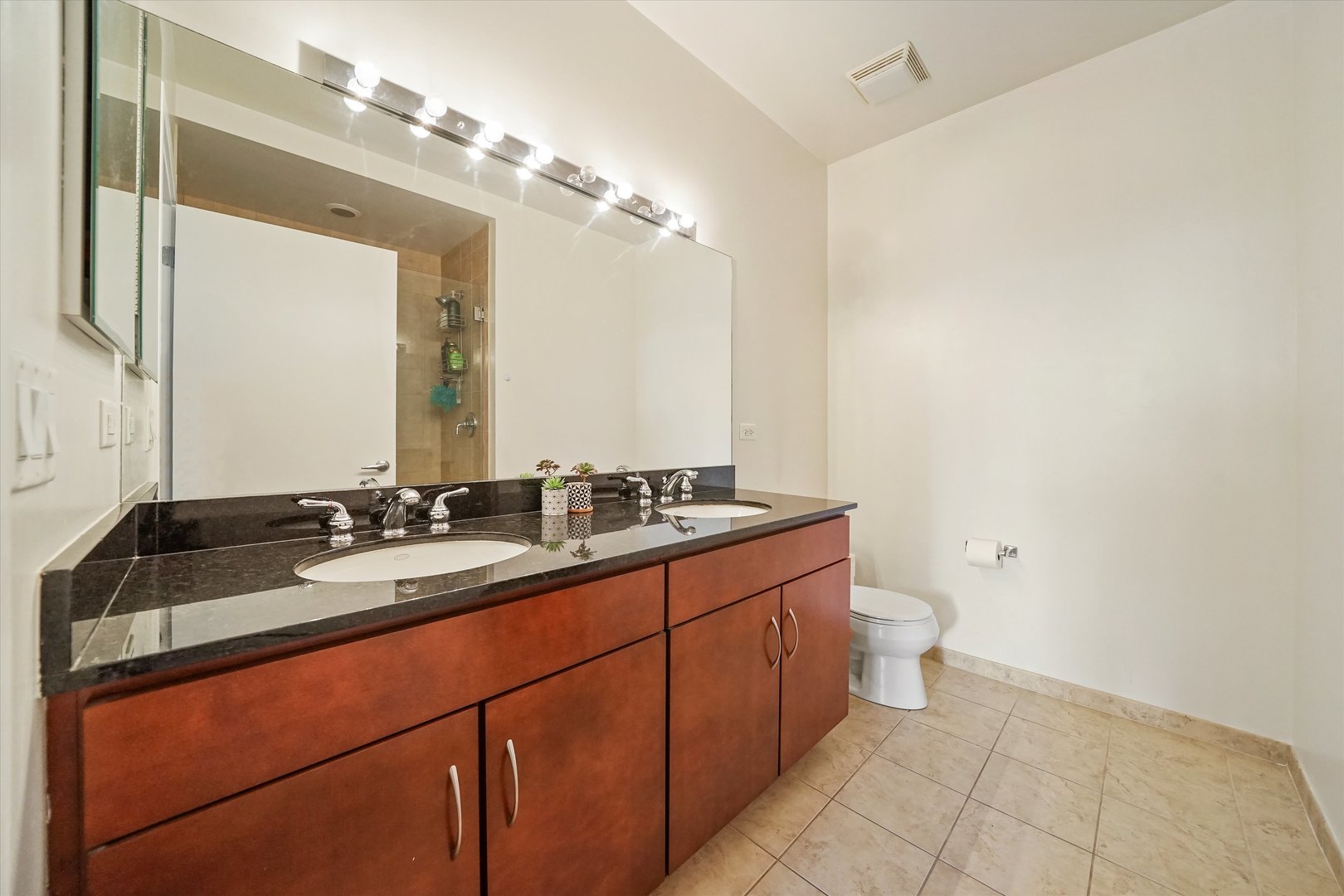 700 N LARRABEE Street Unit: 1010