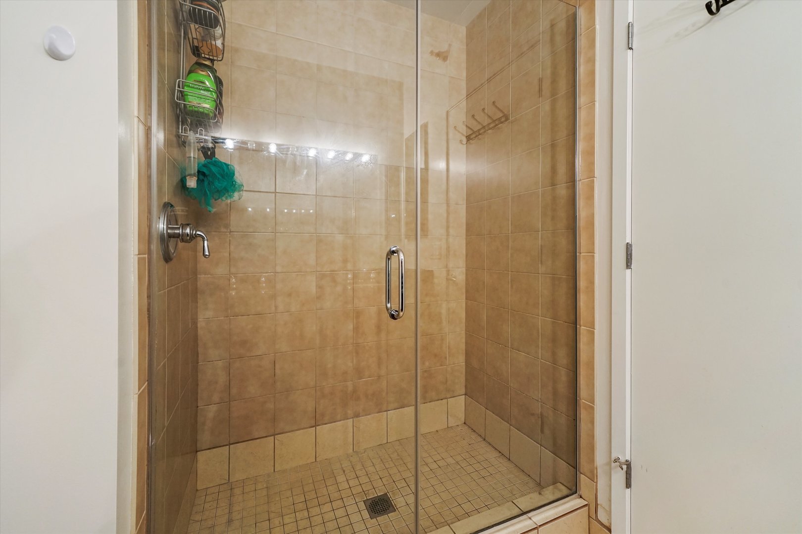 700 N LARRABEE Street Unit: 1010