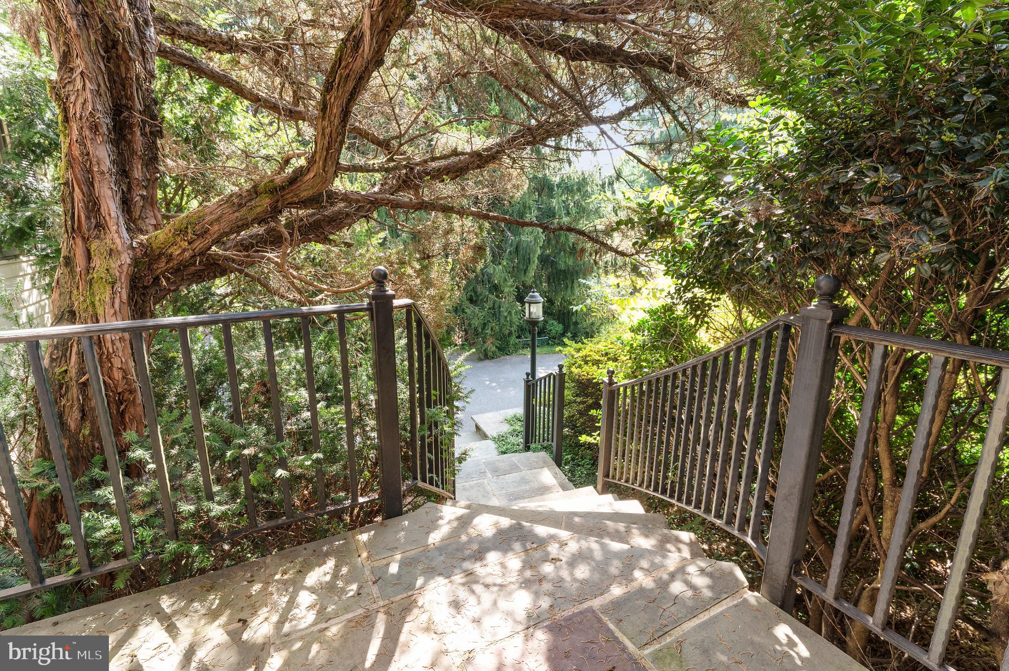 15729 HOLLY GROVE ROAD