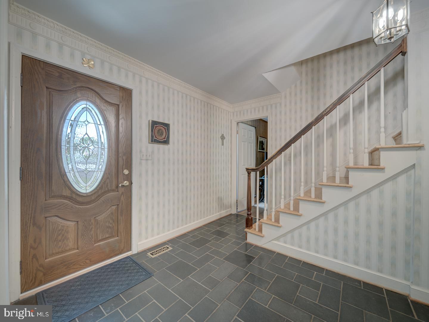 1203 Forestville Dr