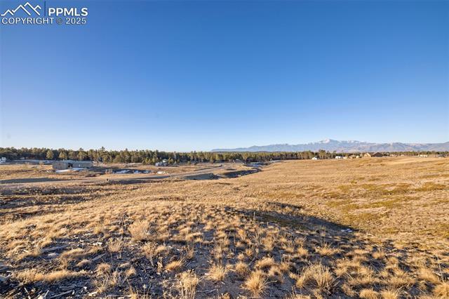 12692 Eagle Forest Drive