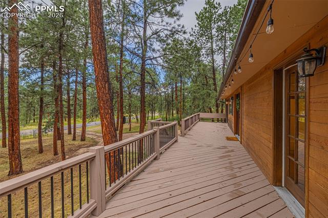 15845 Roller Coaster Road