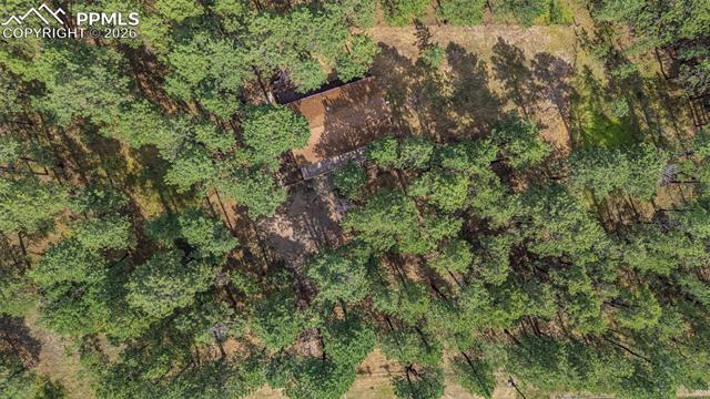 15845 Roller Coaster Road