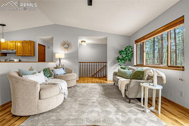 15845 Roller Coaster Road