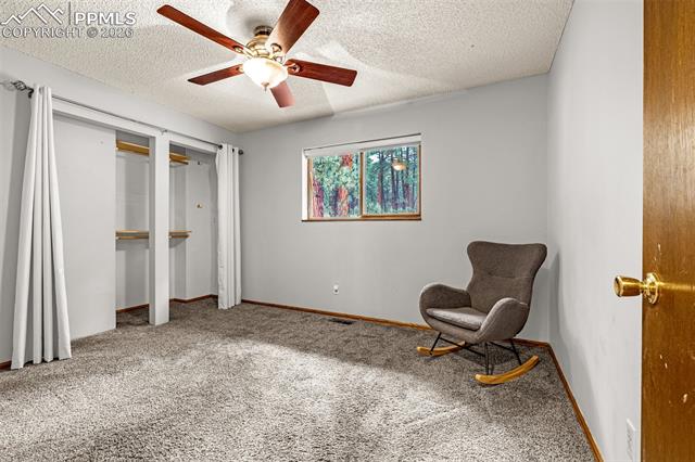 15845 Roller Coaster Road