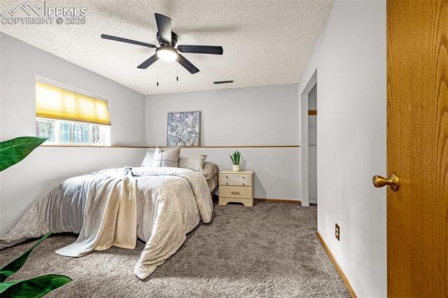 15845 Roller Coaster Road