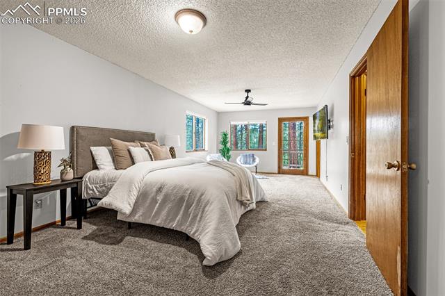 15845 Roller Coaster Road