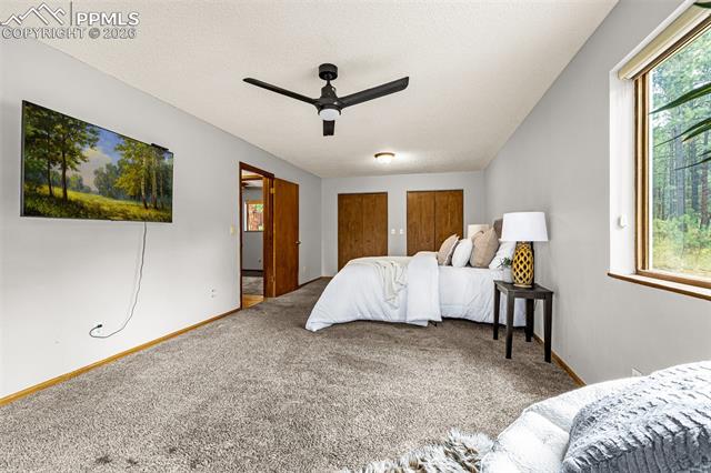 15845 Roller Coaster Road