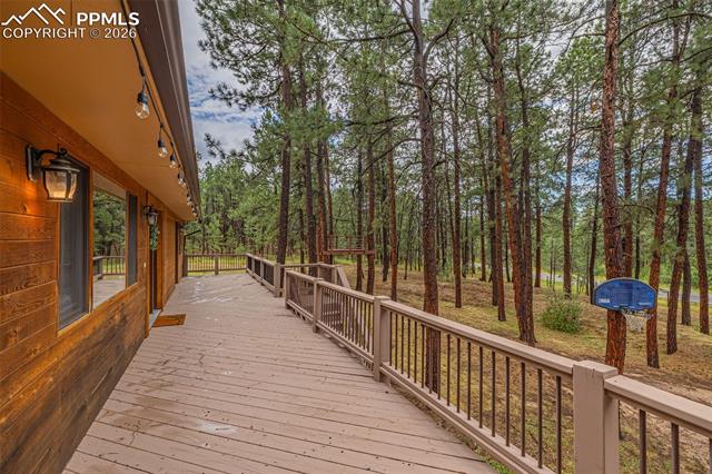 15845 Roller Coaster Road