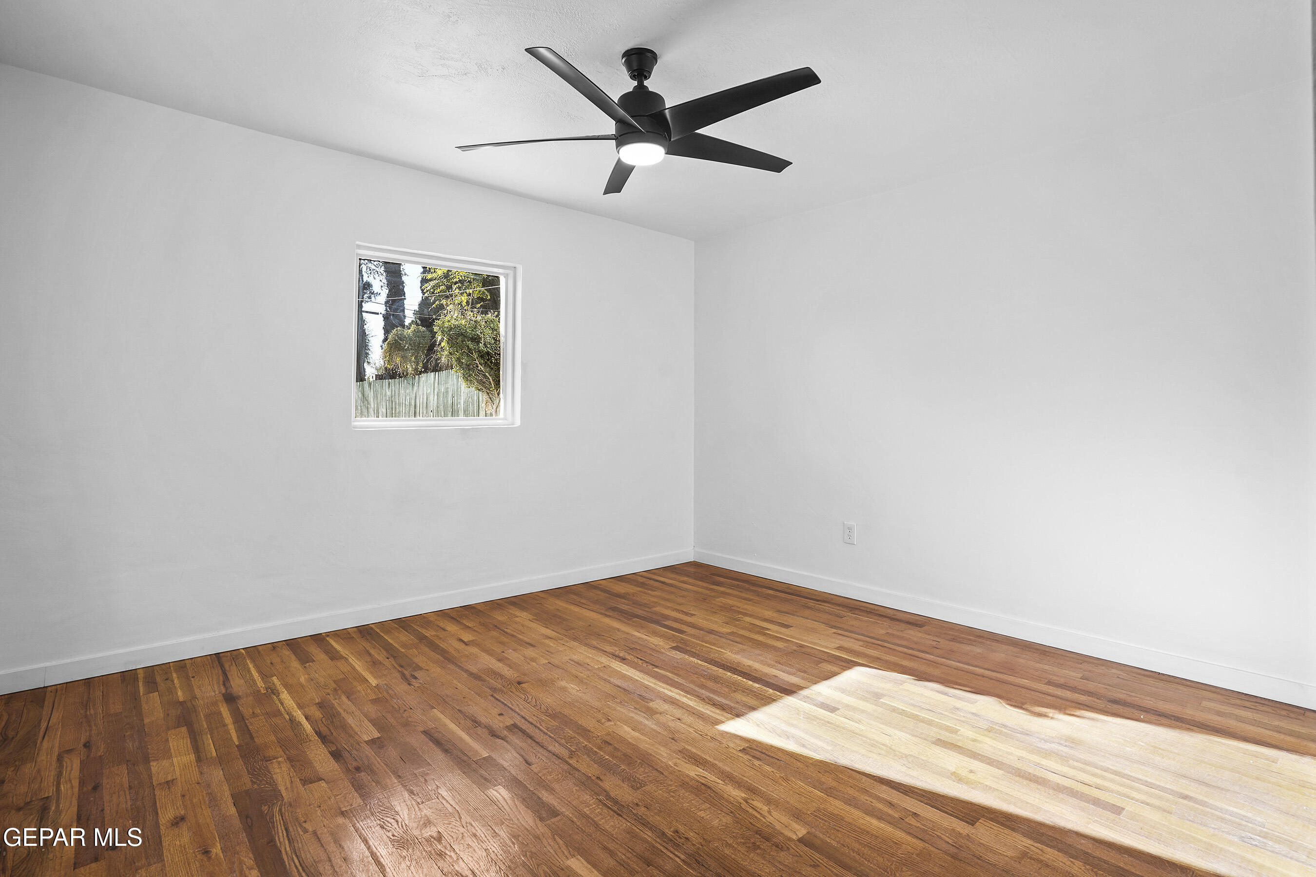 300 Belva Way