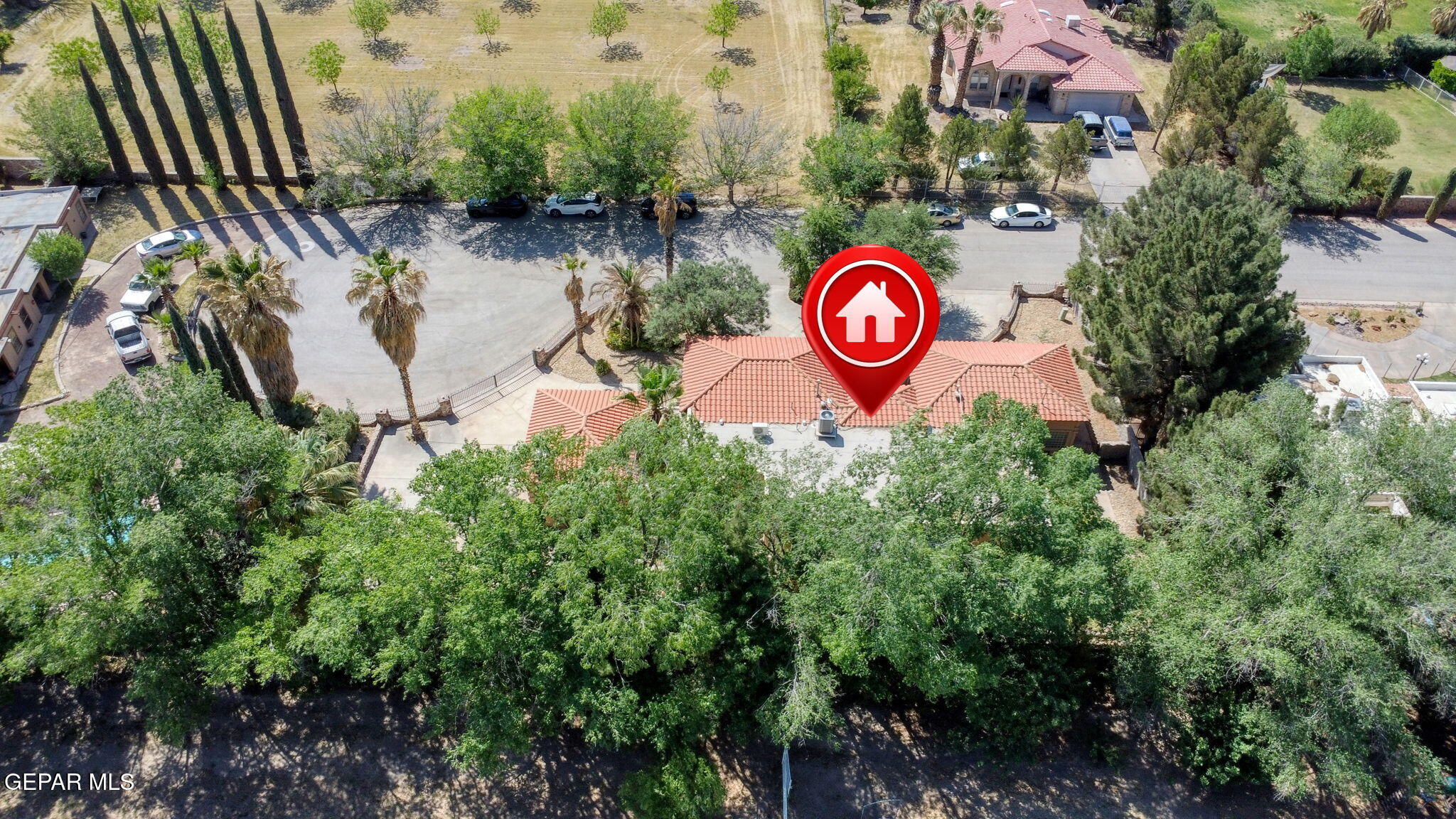 509 LESLIE WARD Court