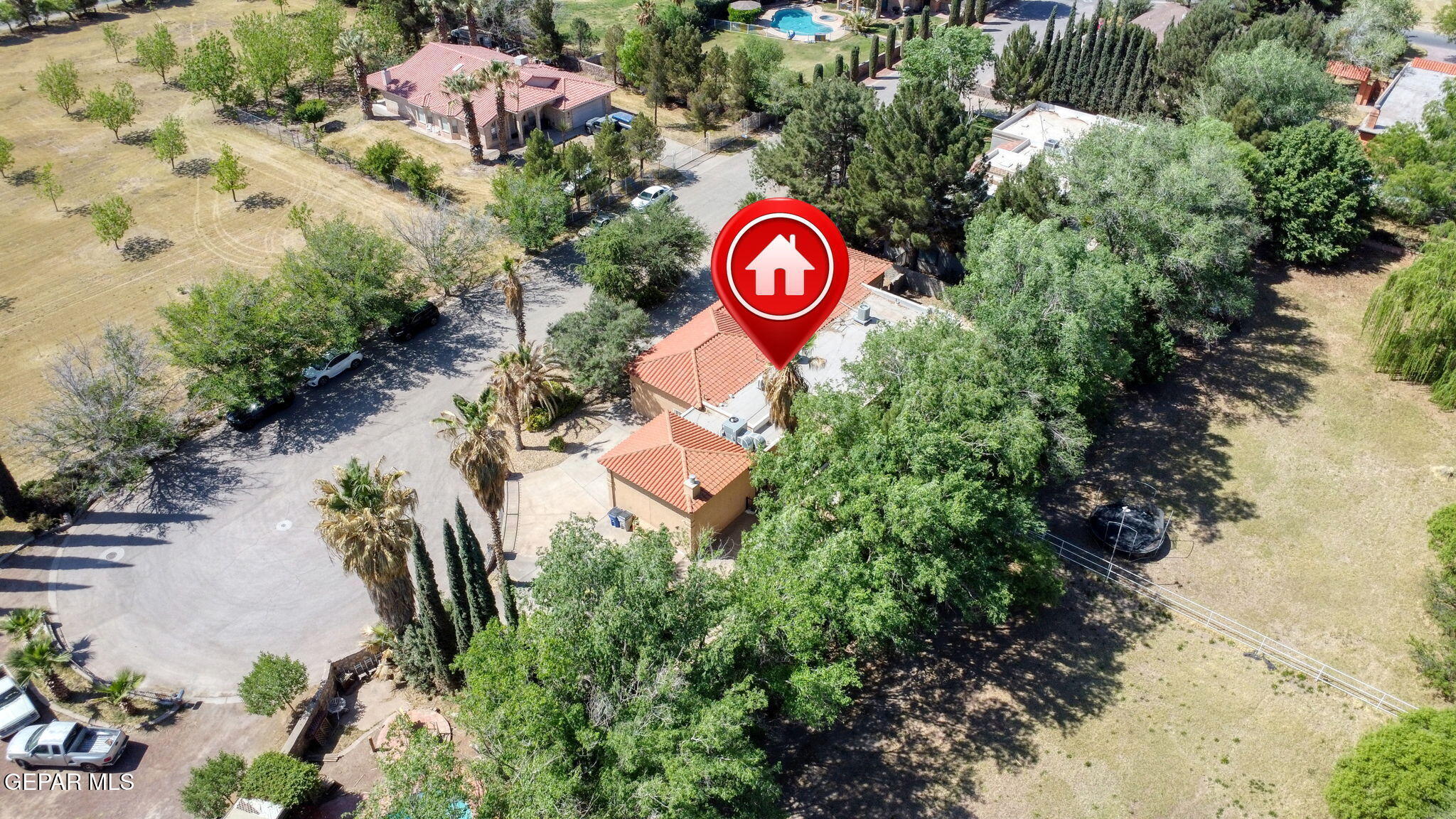 509 LESLIE WARD Court