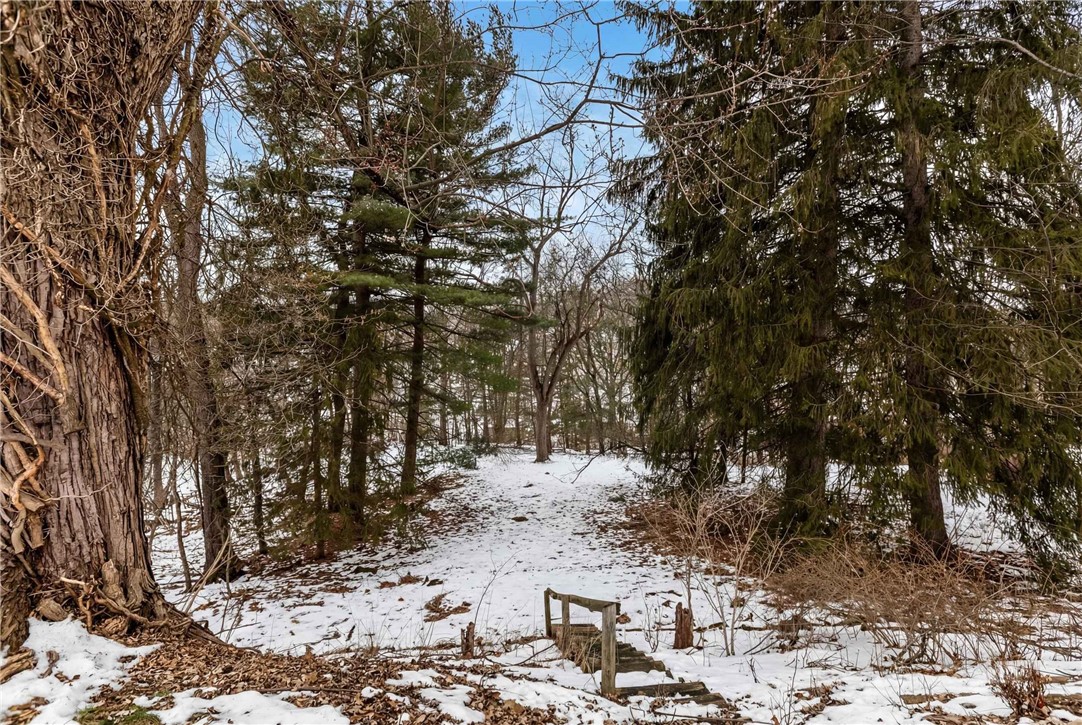 498 Seavey Rd