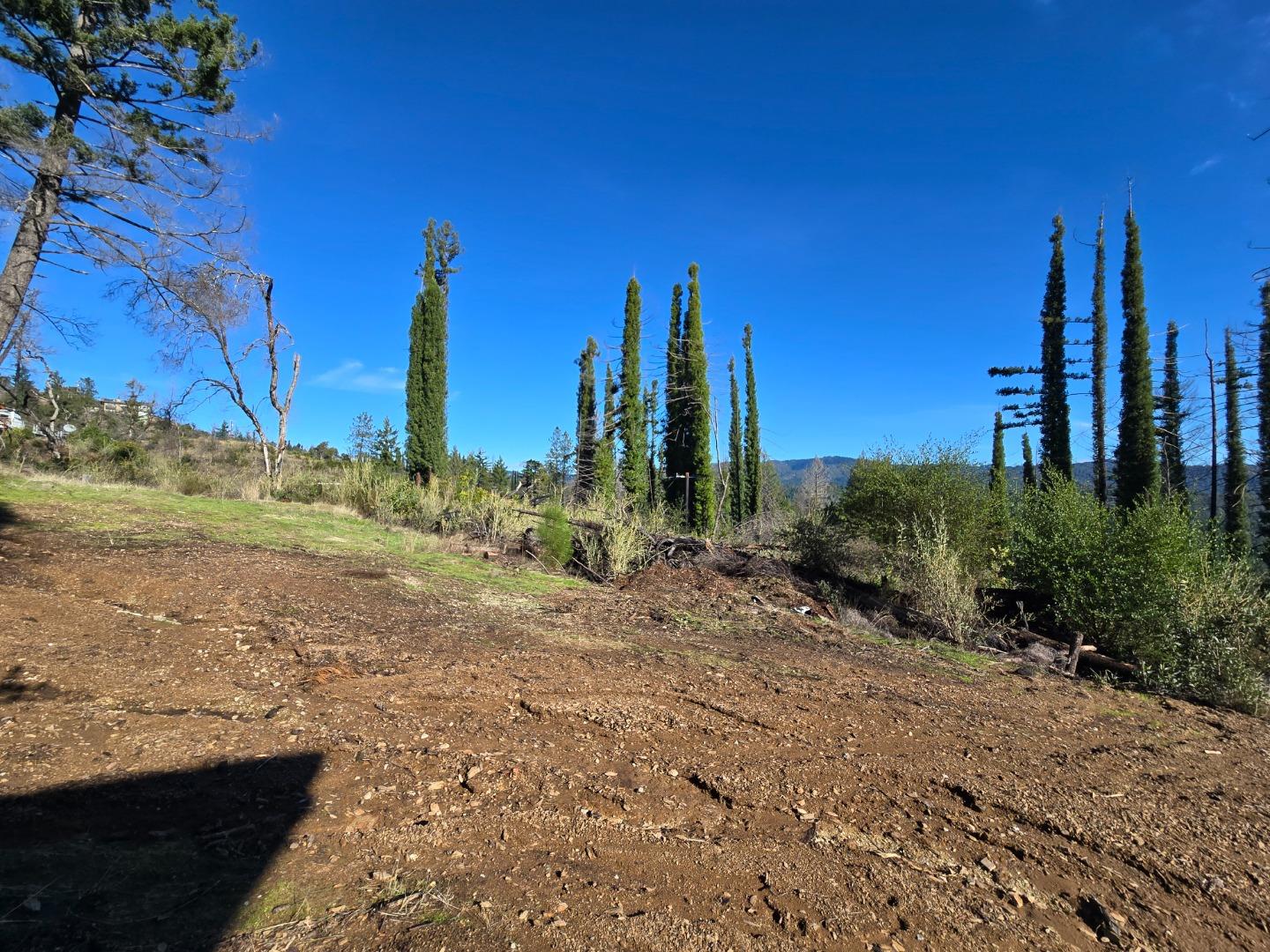 Undeveloped hillside lot with a broad dirt clearing, tall evergreens, and distant mountain ridges.