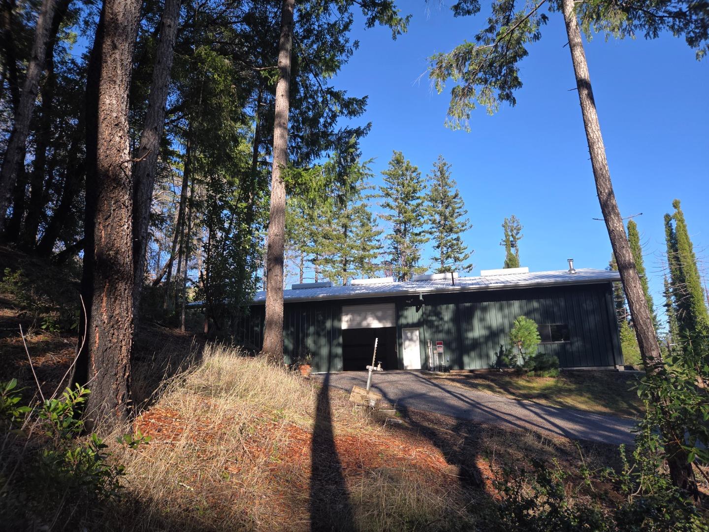 Dark green house with a metal roof and open garage, surrounded by tall trees.