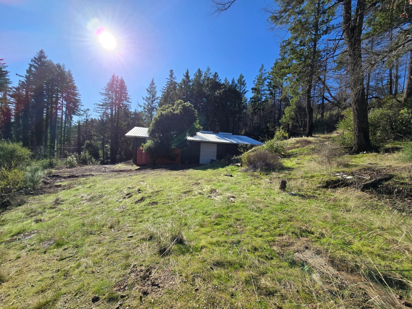 Sloping grassy property with a metal-roofed outbuilding among tall trees.