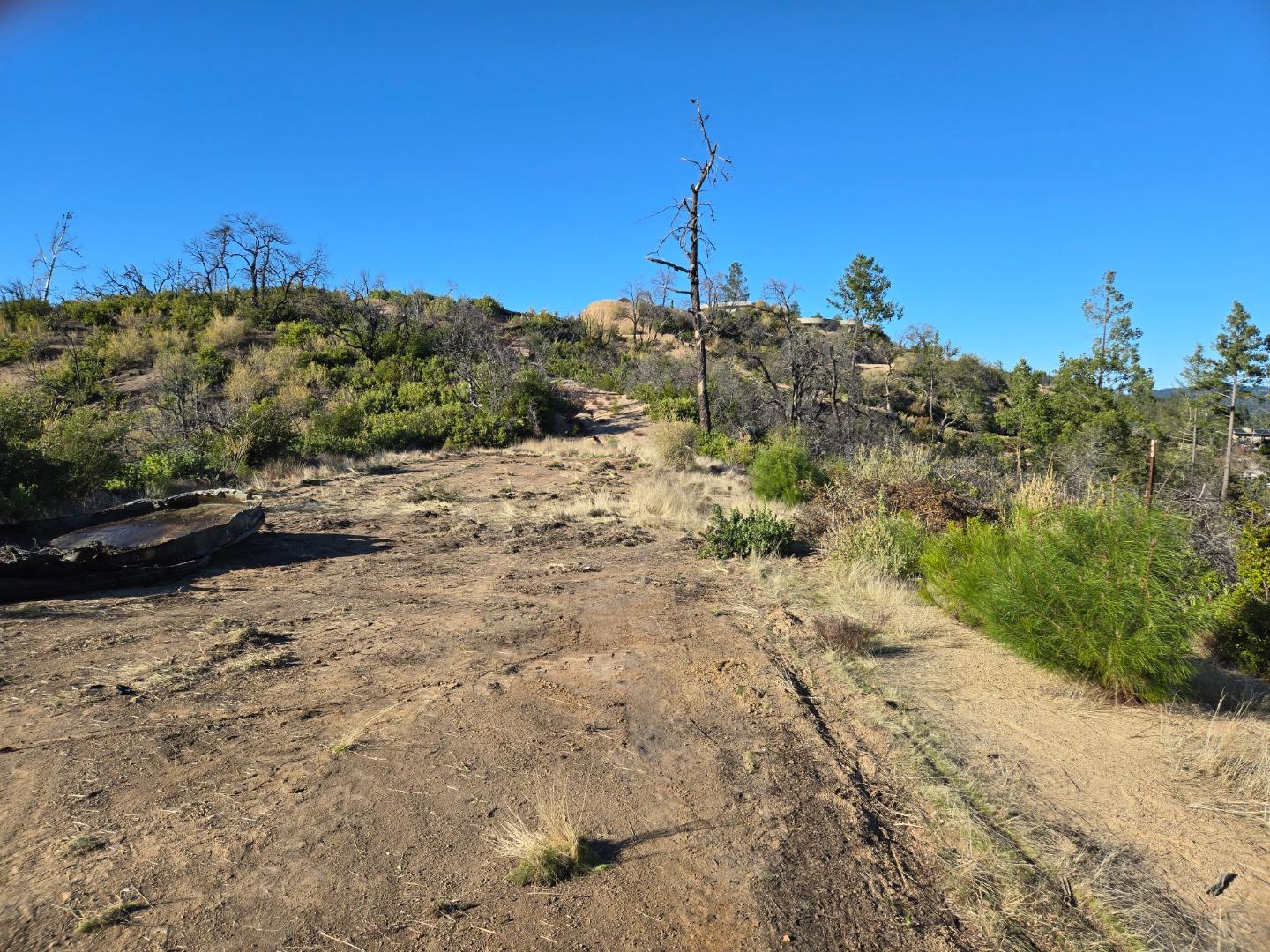 Cleared dirt area on a brush-covered hillside lot with scattered trees.