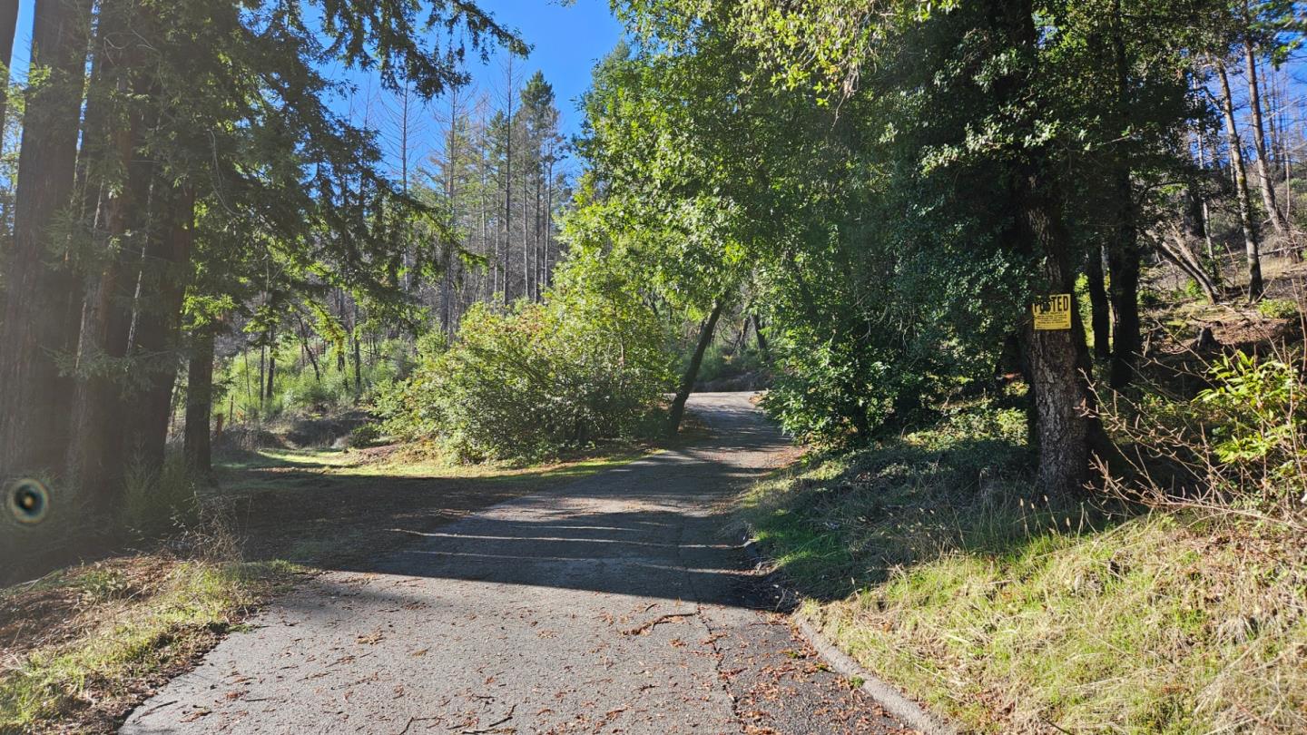 Paved driveway curves through dense woods beside a tree bearing a yellow POSTED sign.