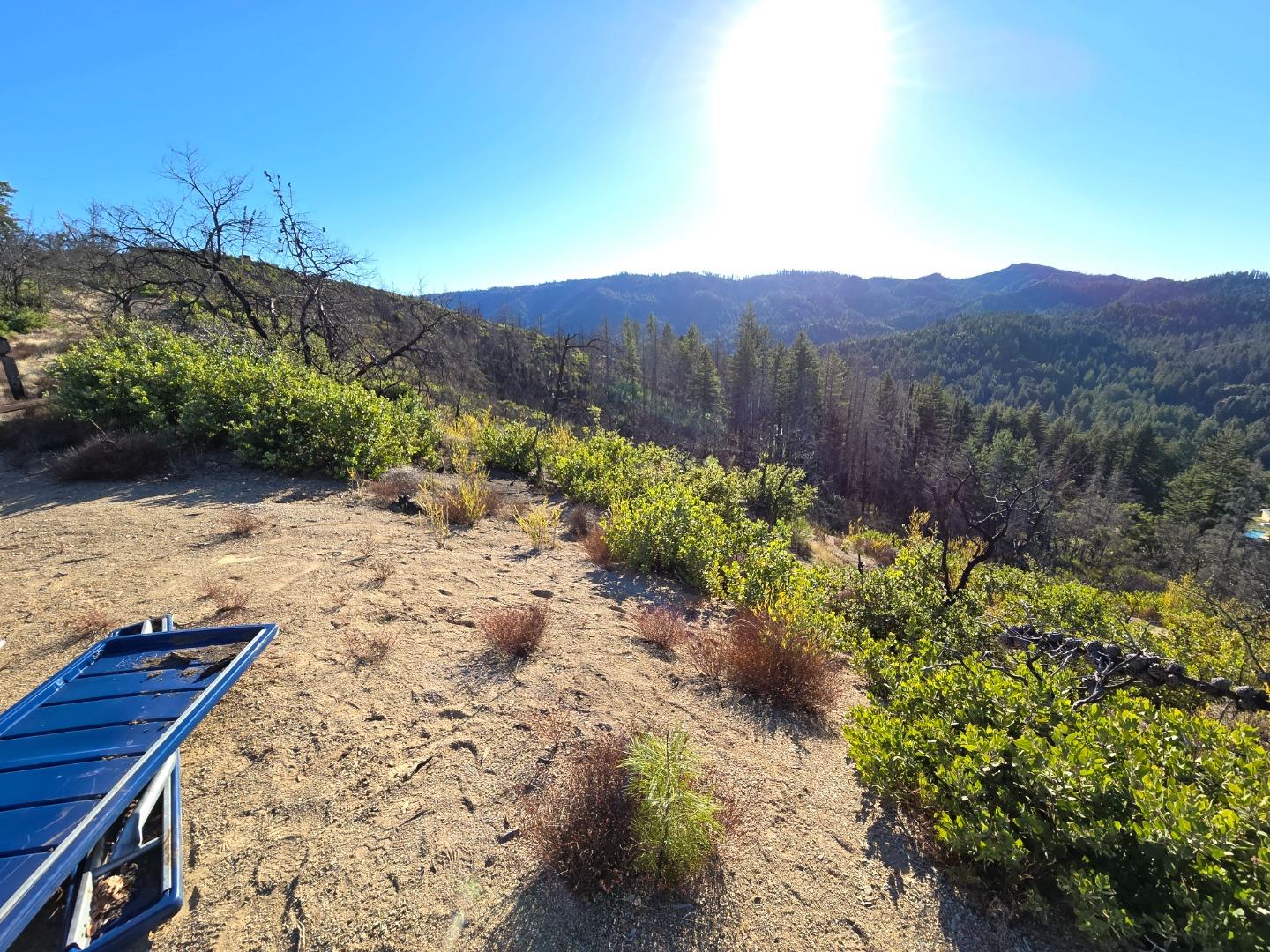 Hillside lot with dry ground, shrubs, and forested mountain views.