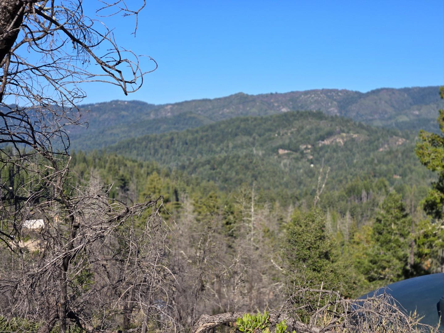 Wooded mountain ridges viewed past bare branches from the property.