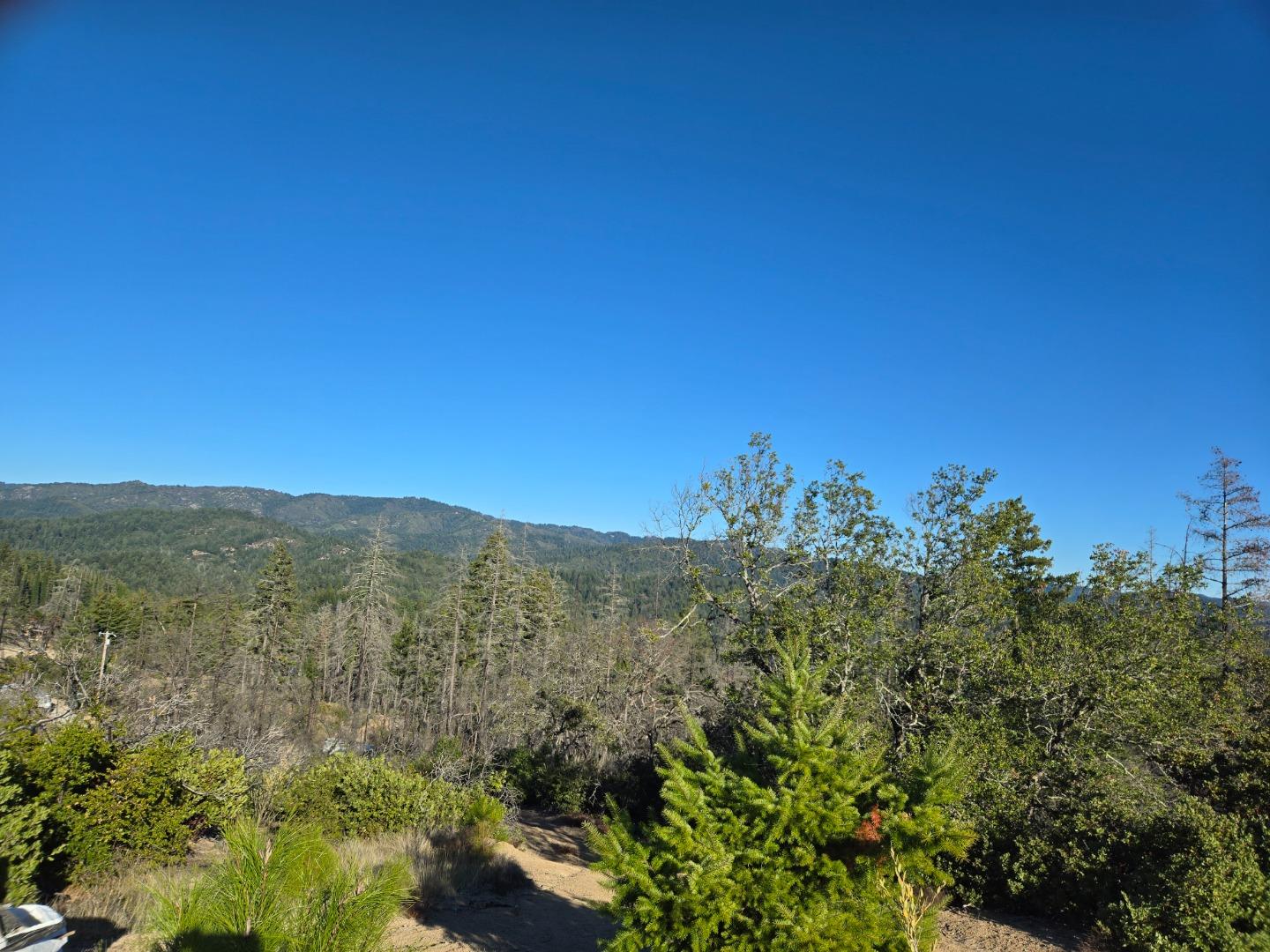 Wooded mountain ridge beyond shrubs and a dirt path under a clear blue sky.