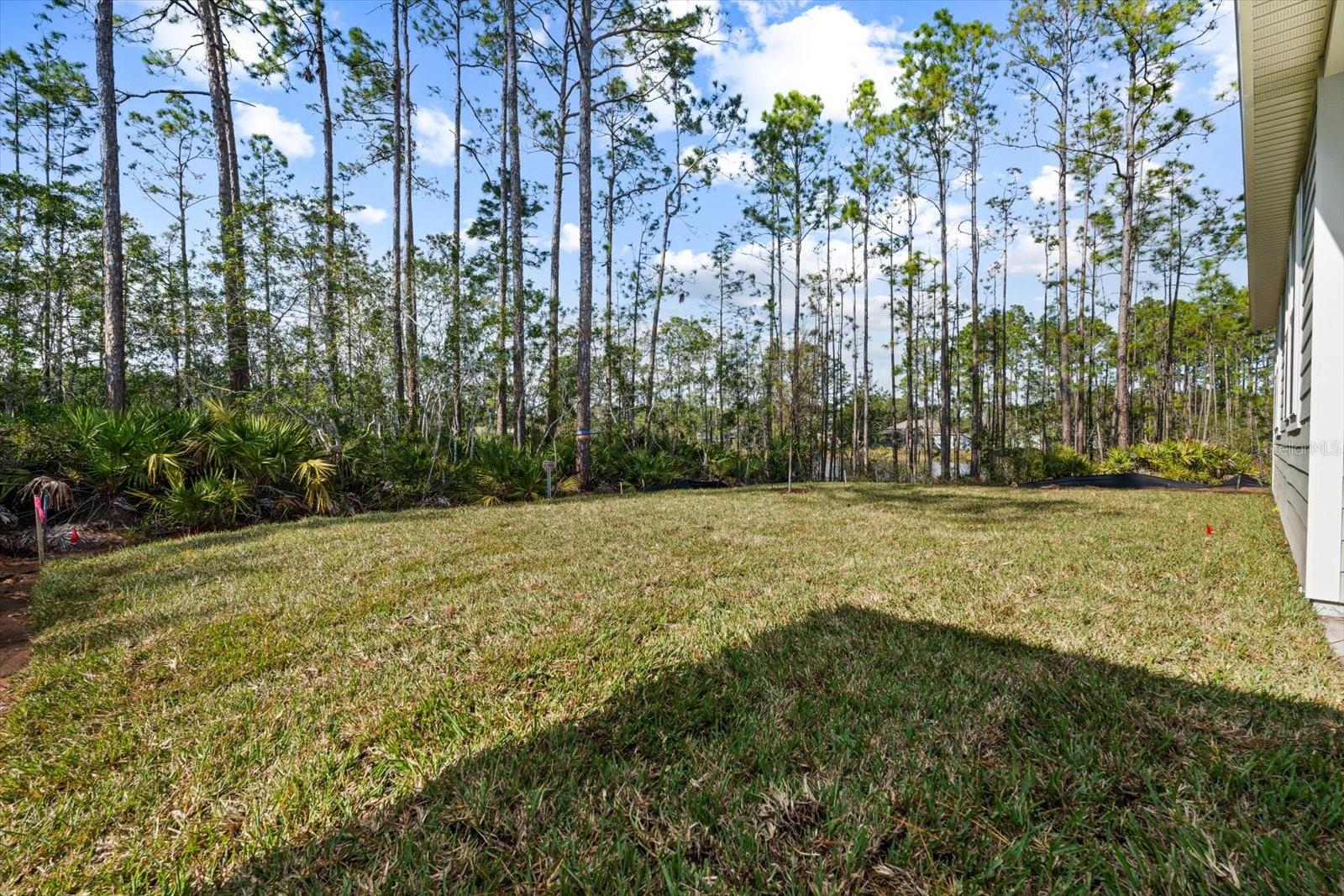 31 WANDERING CREEK WAY