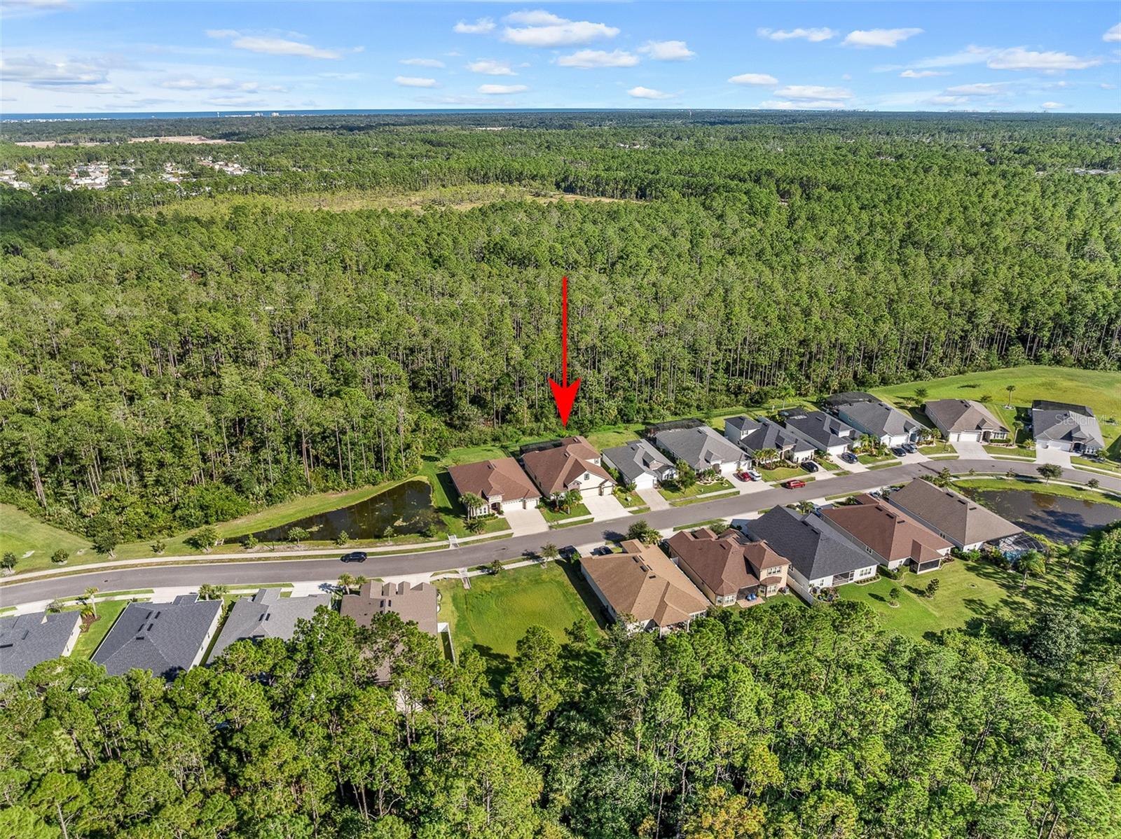 213 S COOPERS HAWK WAY