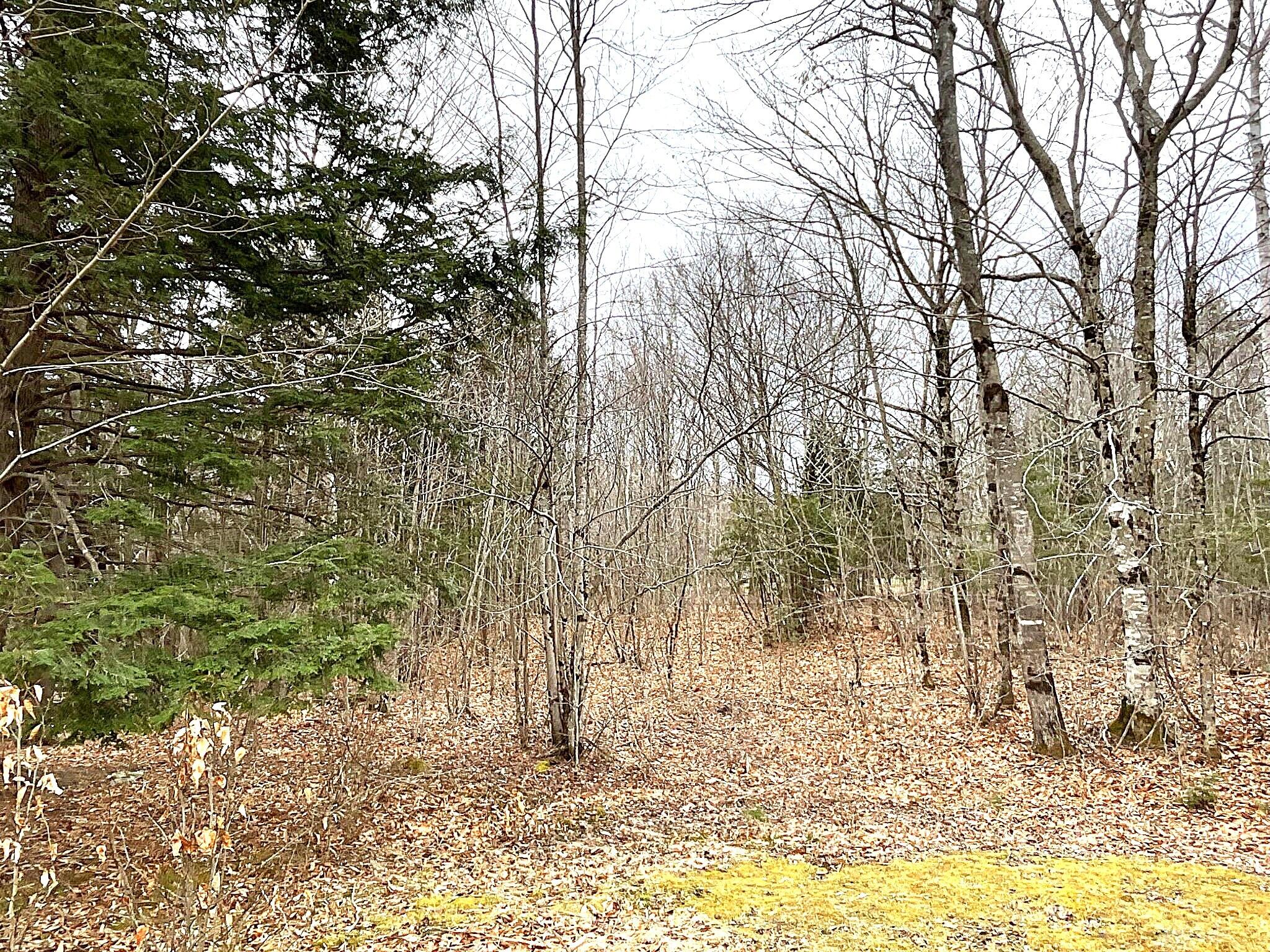 543 Dead River Road