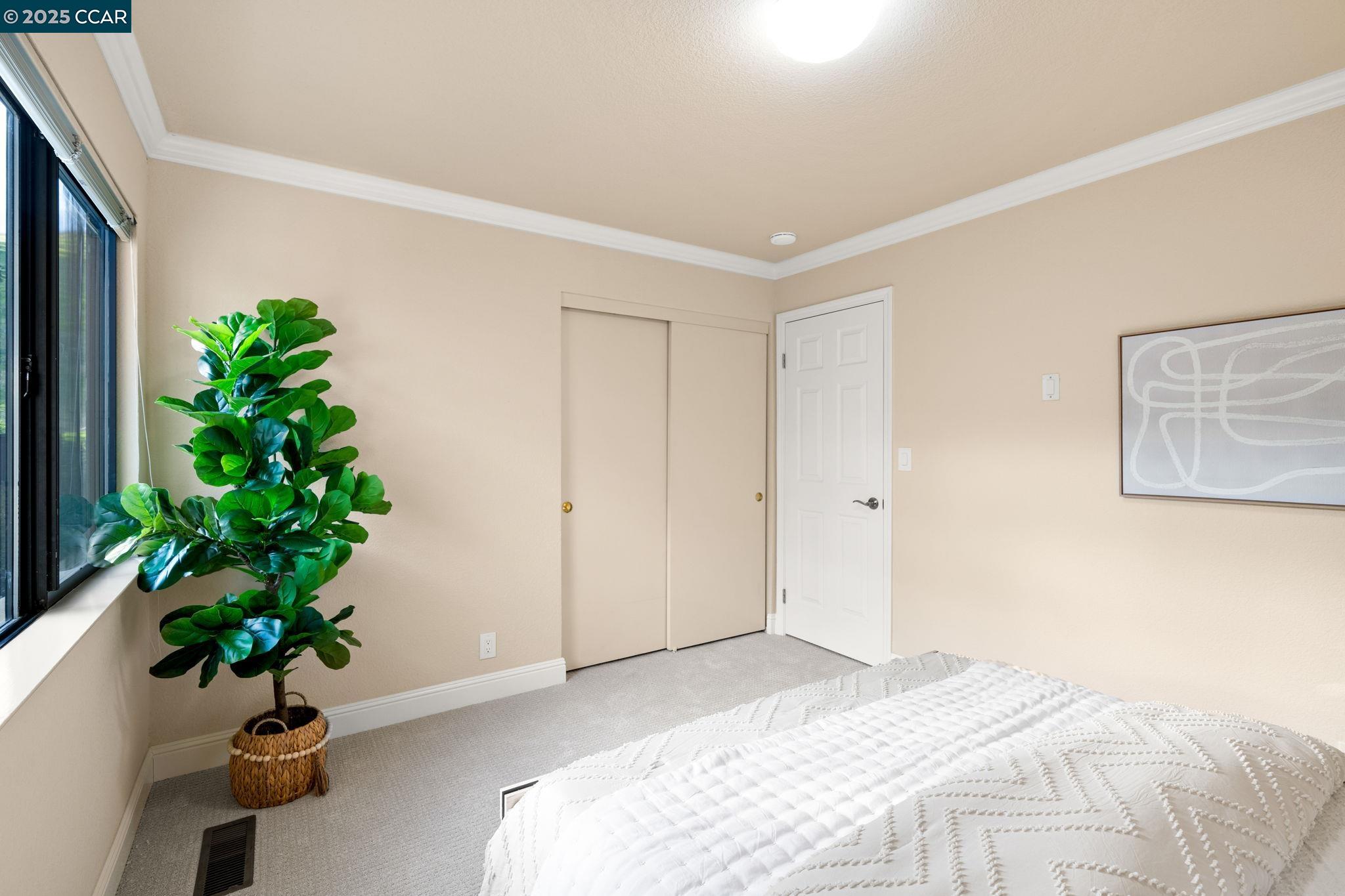 387 Live Oak Dr