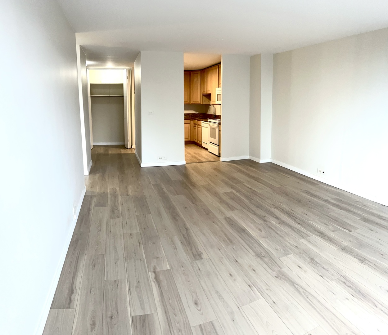 2020 N Lincoln Park West Unit: 12E