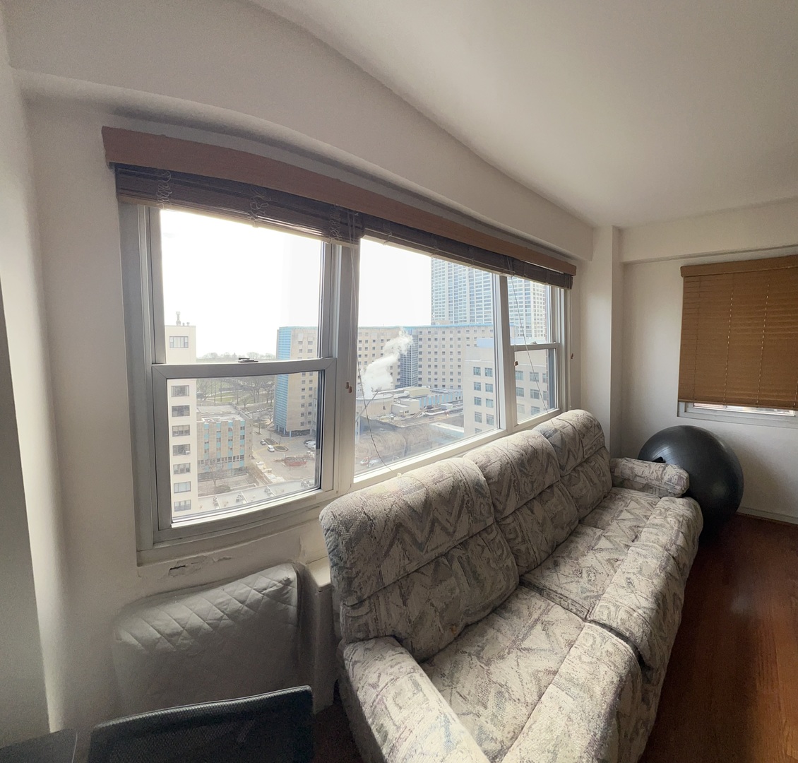 2909 N Sheridan Road Unit: 1703