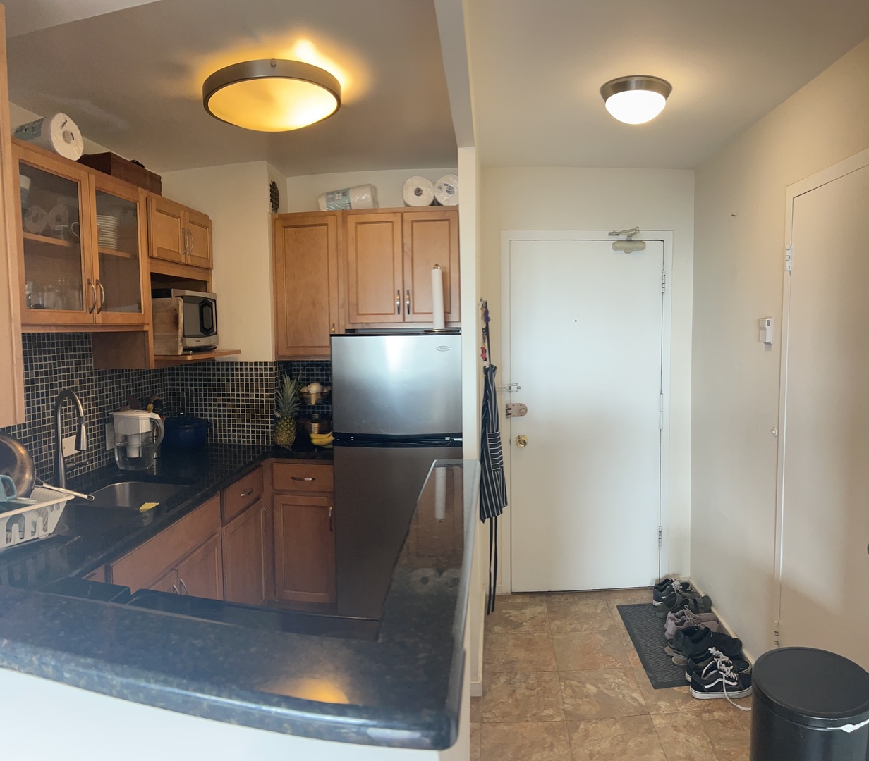 2909 N Sheridan Road Unit: 1703