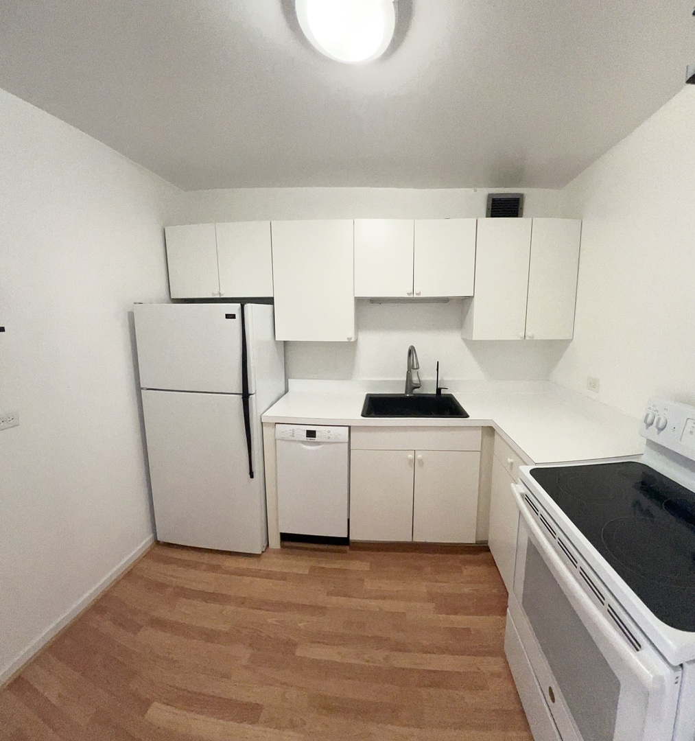 1960 N Lincoln Park West Unit: 1502