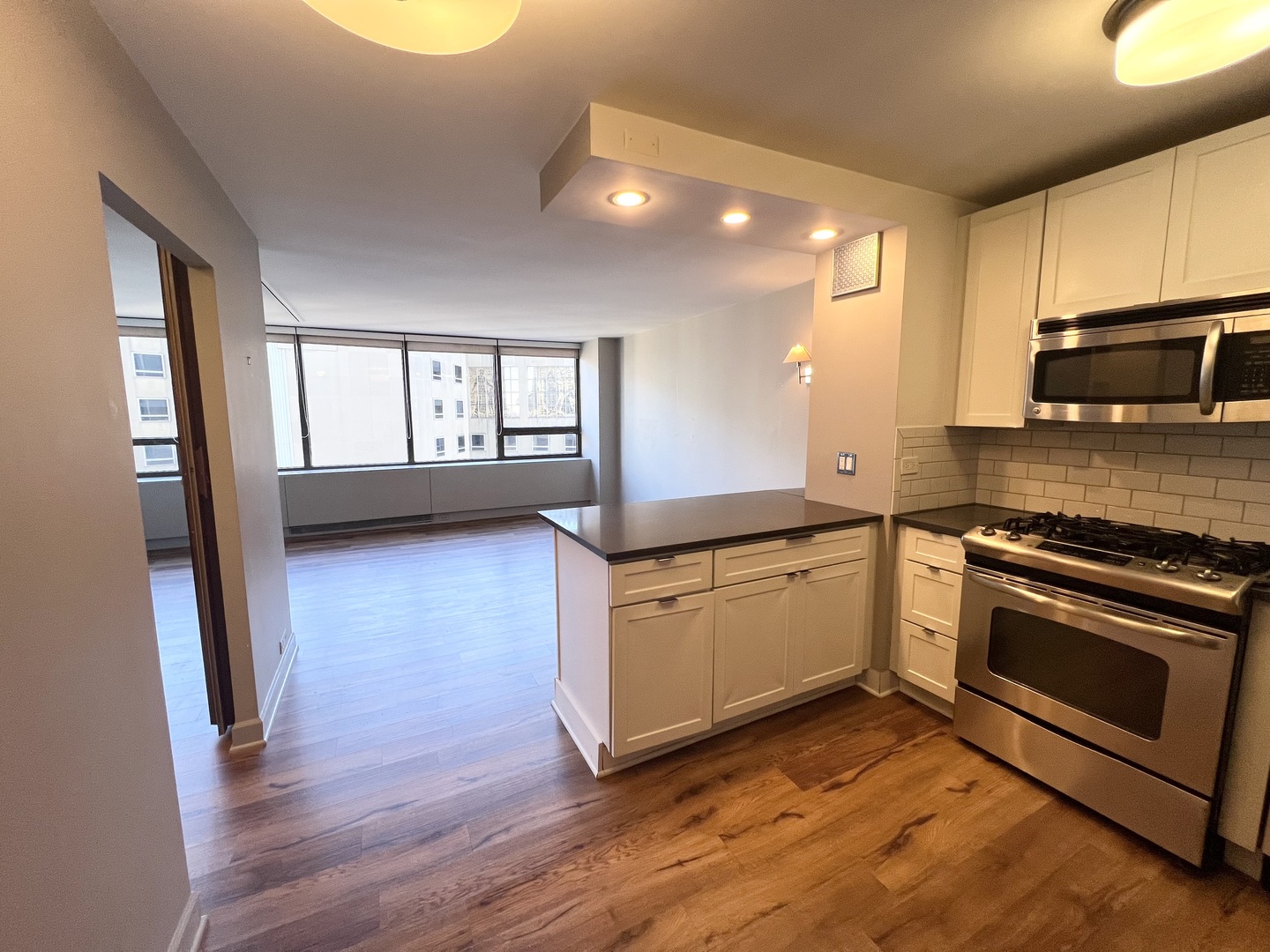 2800 N Lake Shore Drive Unit: 1511