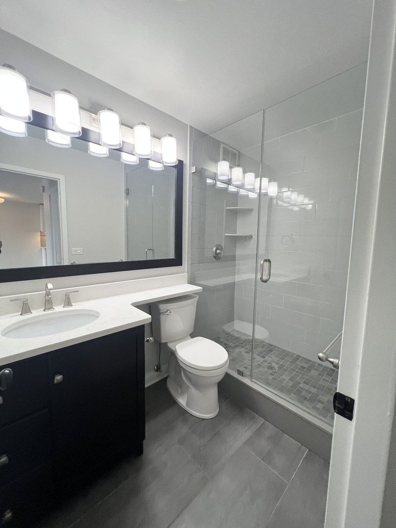 1850 N Clark Street Unit: 305