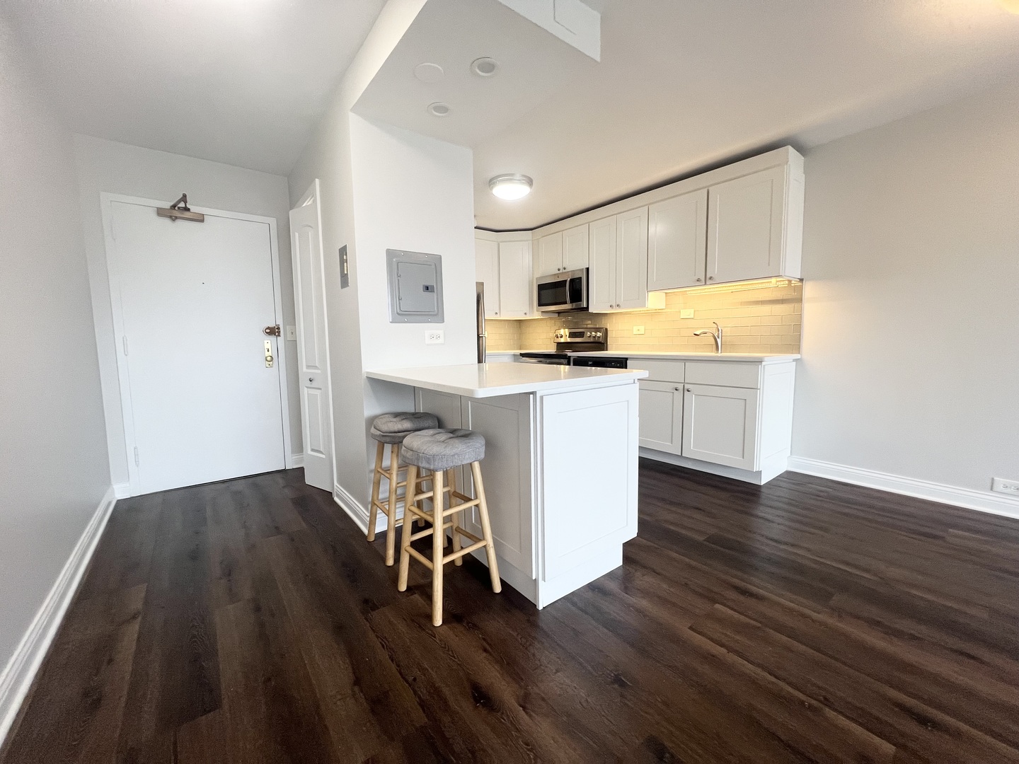 1850 N Clark Street Unit: 305