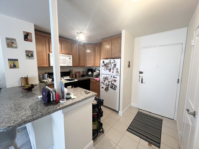 2800 N Lake Shore Drive Unit: 1311