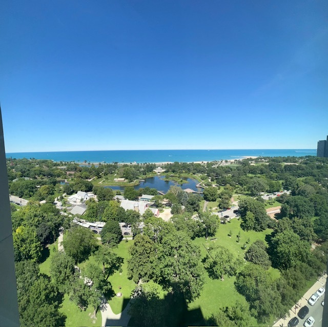 1850 N Clark Street Unit: 2405