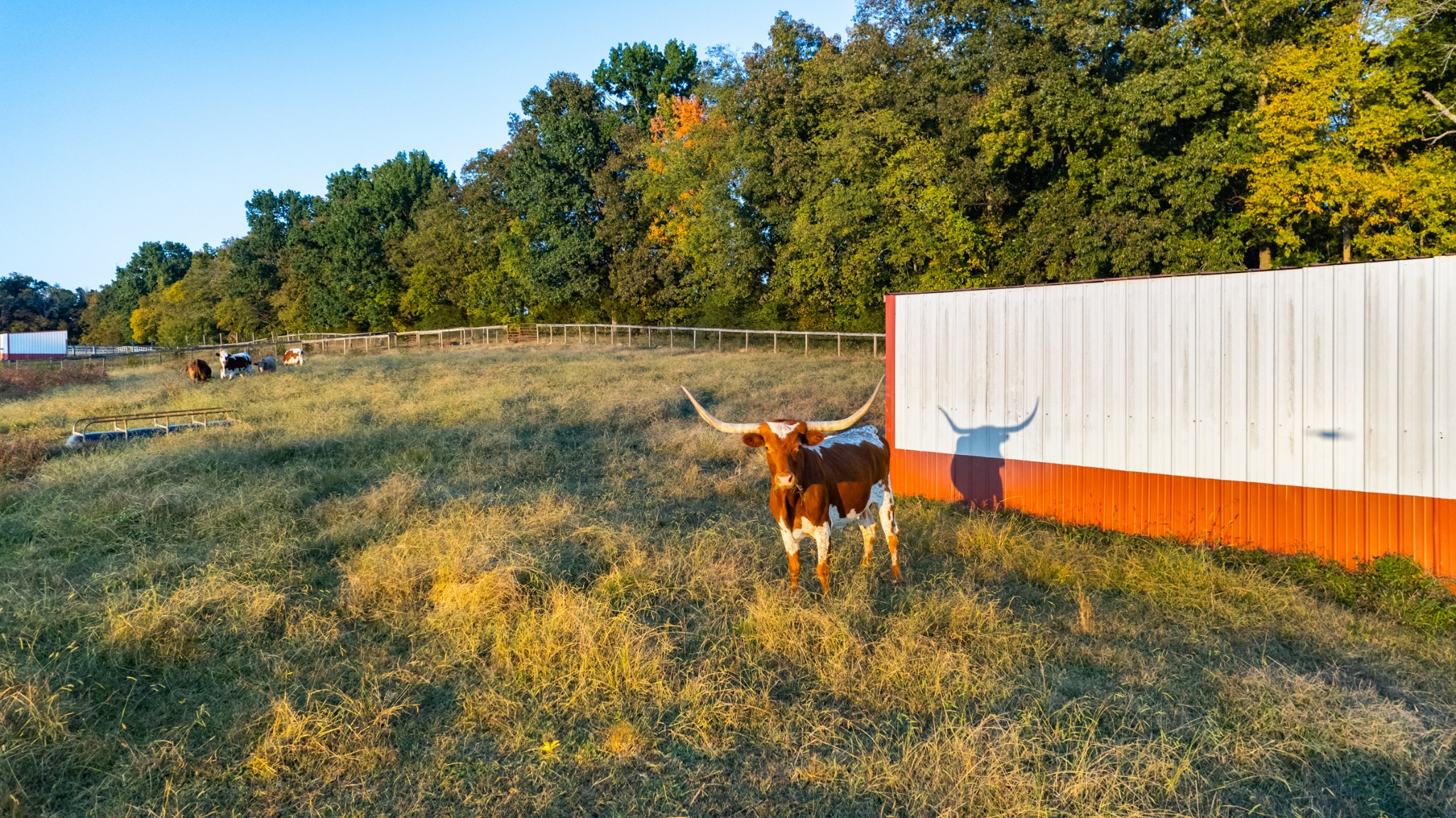 2291 Highway 231, S
