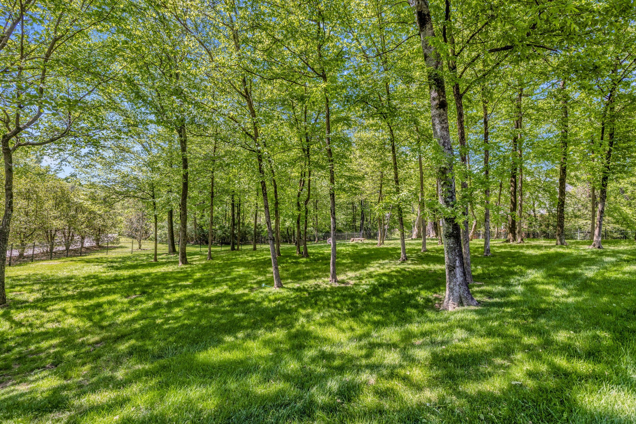 525 Arden Wood Pl