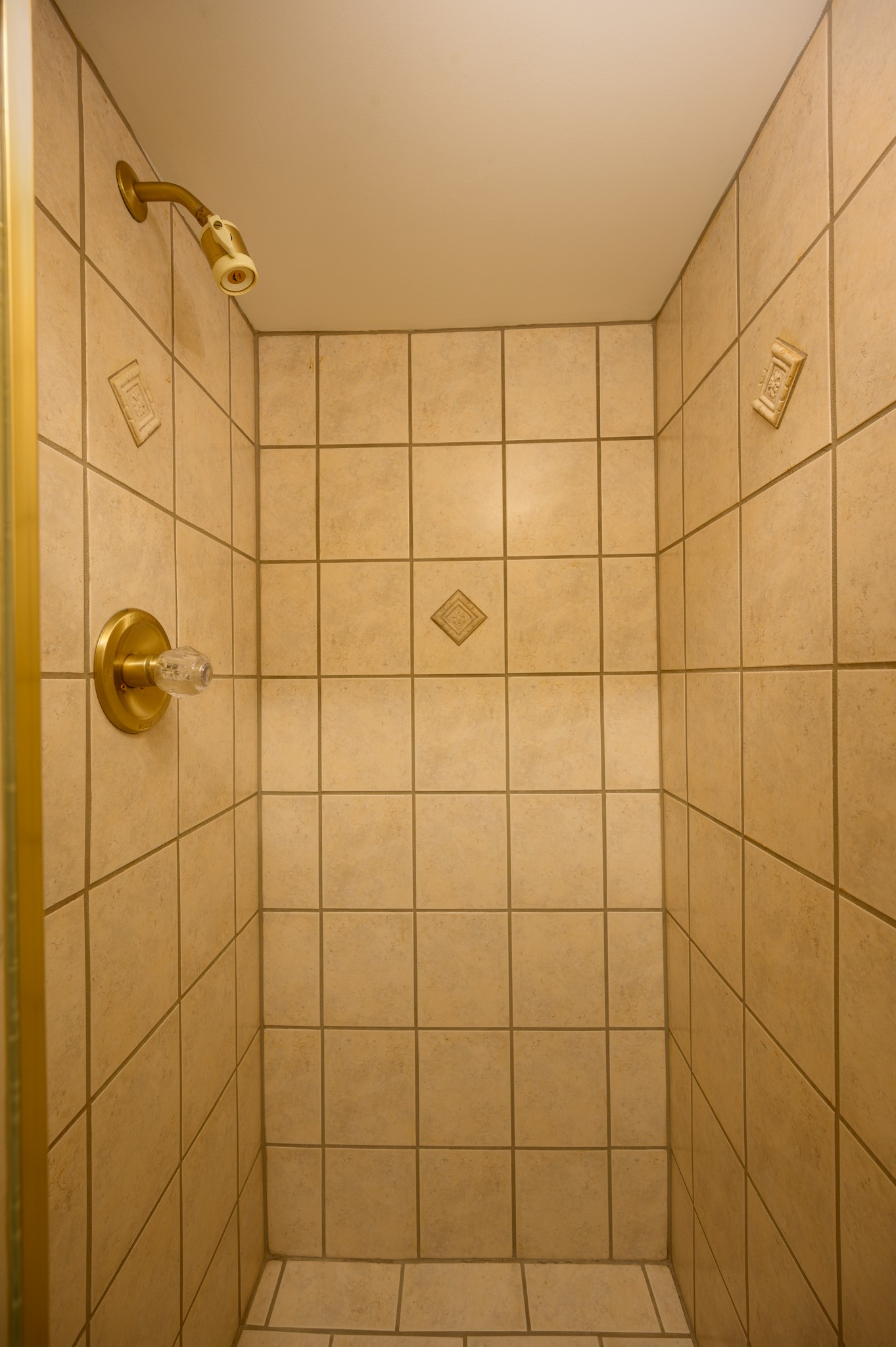 905 Fireside Ct
