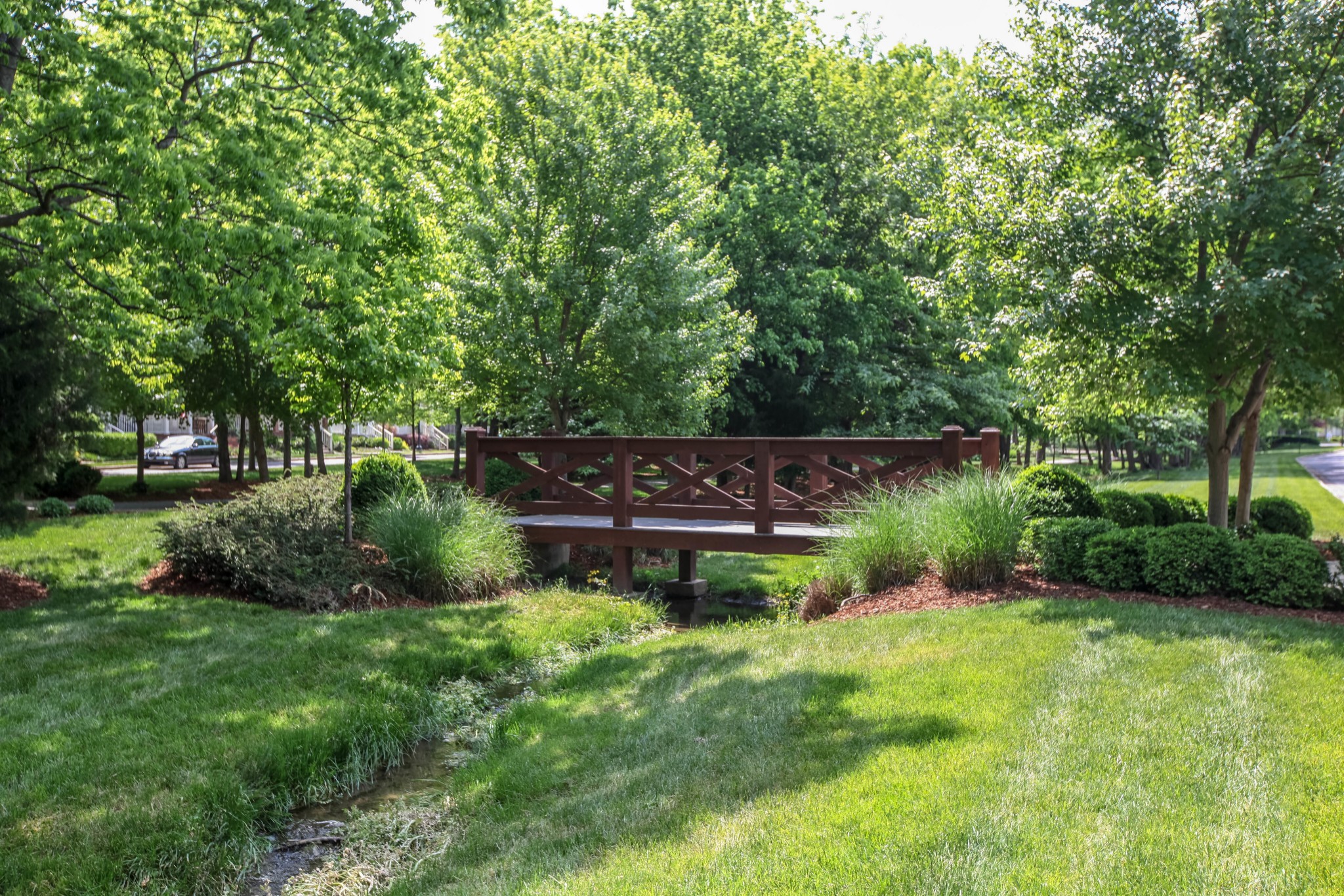 318 Morning Mist Ln