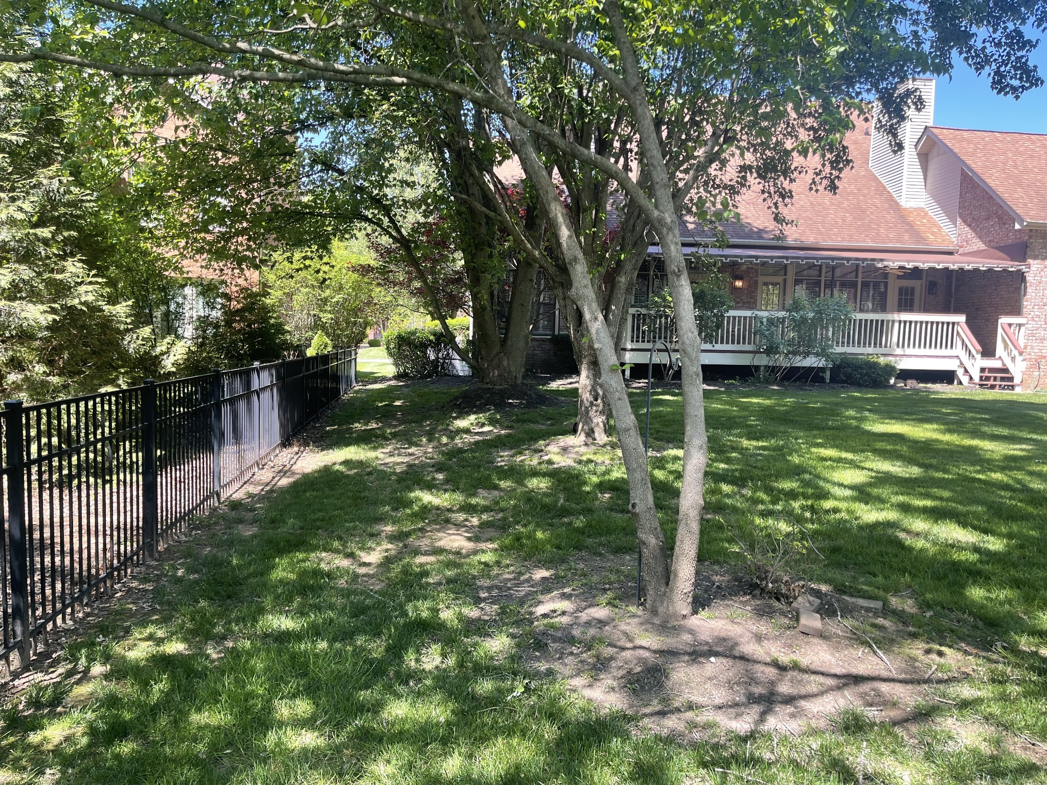 903 Grapevine Ln