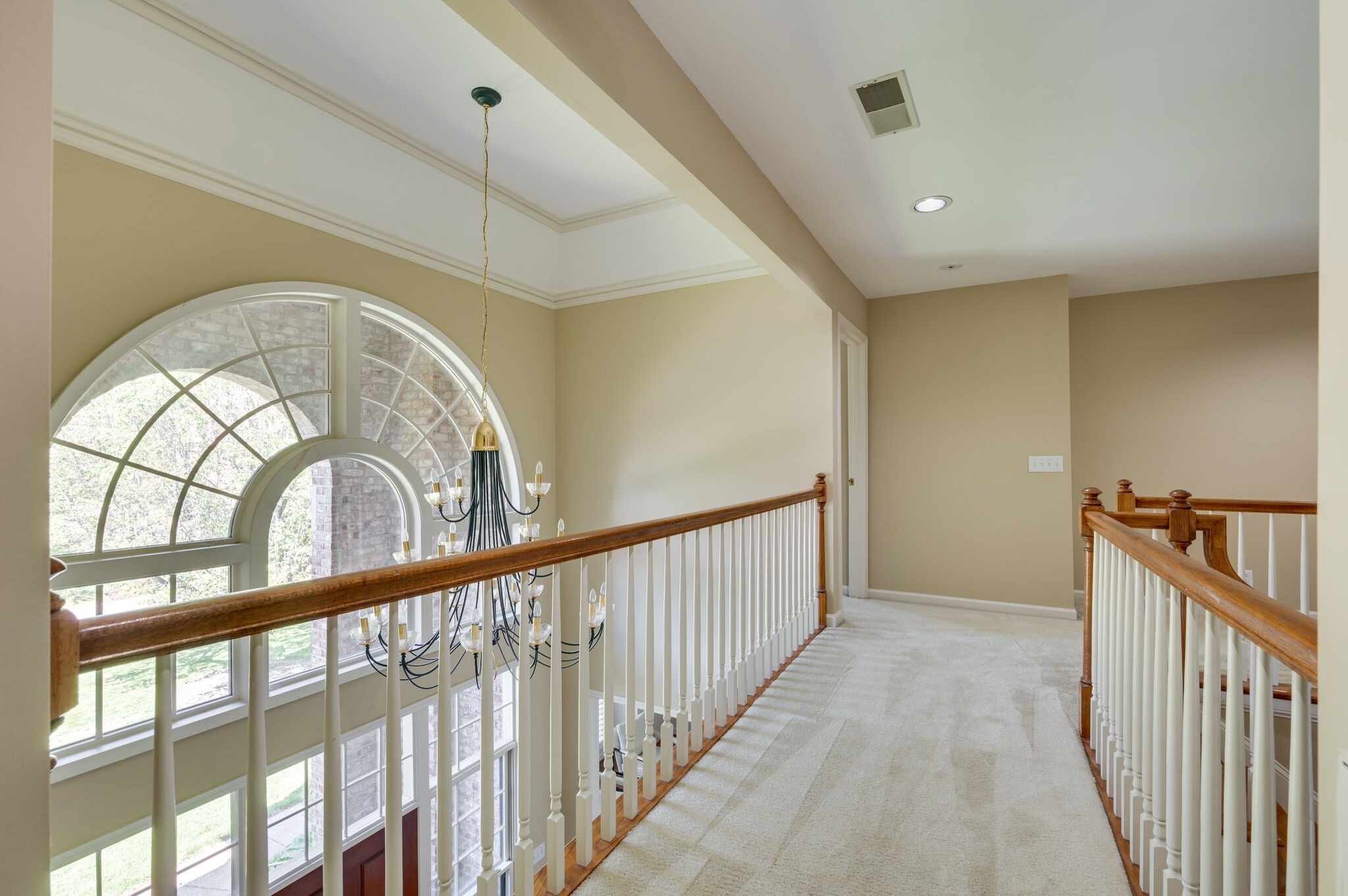 903 Grapevine Ln