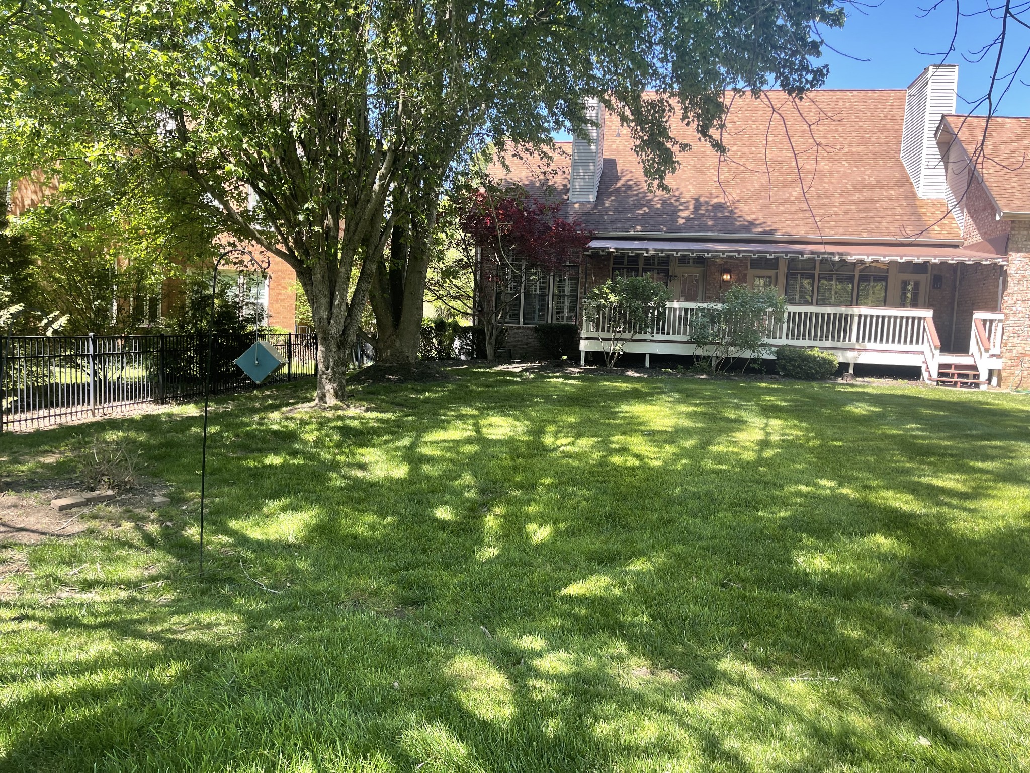 903 Grapevine Ln
